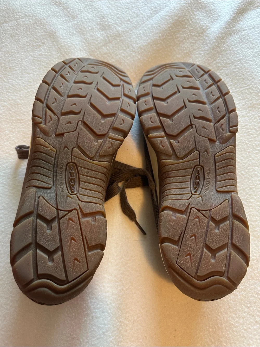 Keen Brown Canvas Low-Top Sneakers